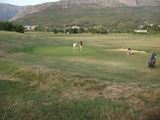 DSC00221.jpg-golf.jpg